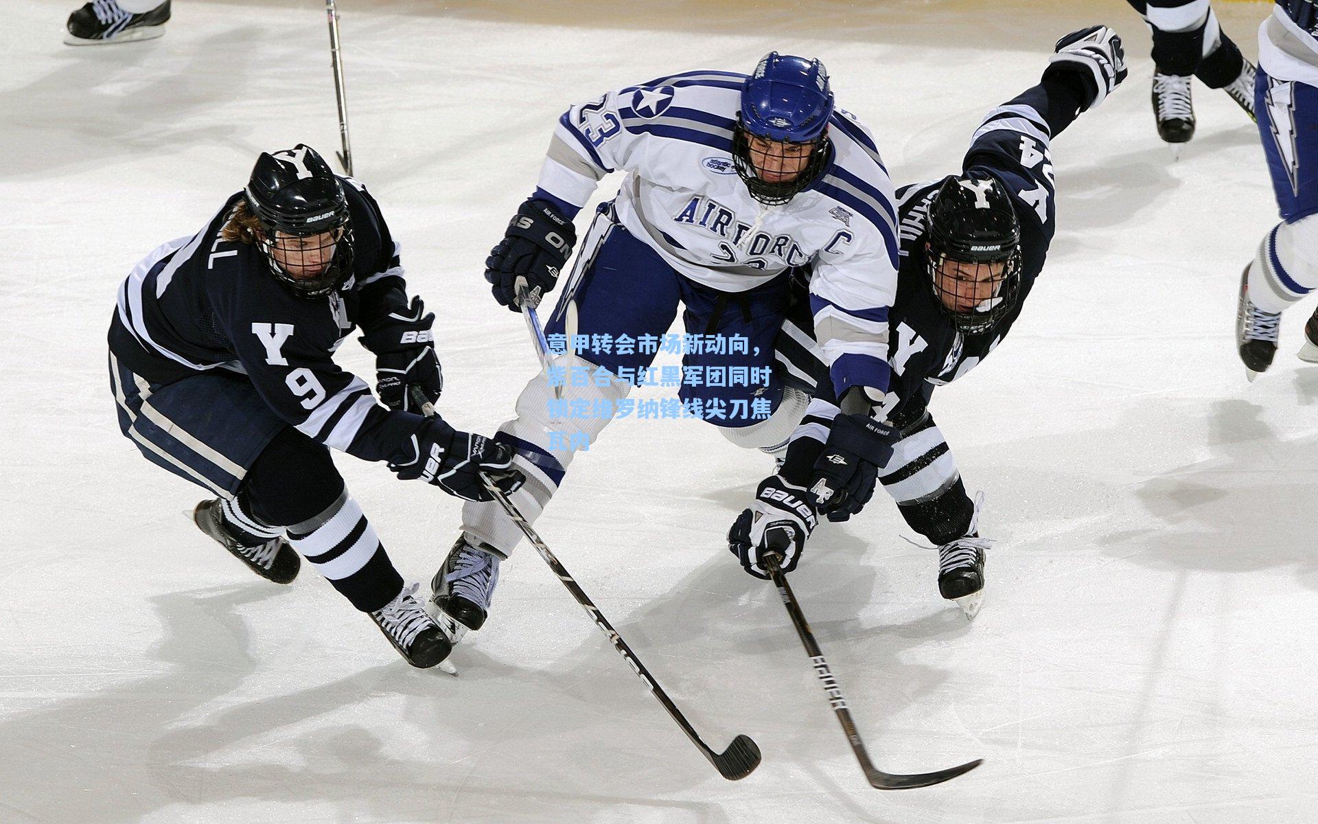 意甲转会市场新动向,紫百合与红黑军团同时锁定维罗纳锋线尖刀焦瓦内